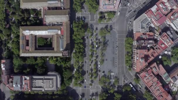 Coches Que Conducen Través Ciudad Barcelona Durante Verano Bird Eye — Vídeo de stock