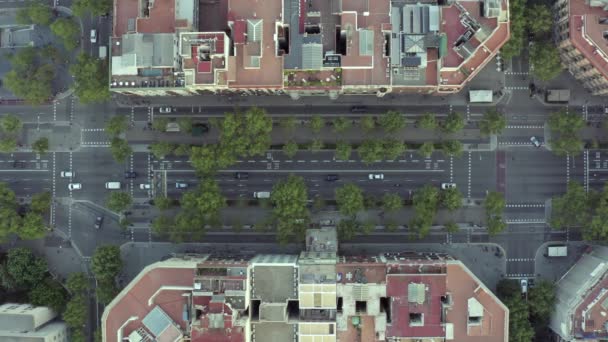 Auto Guida Attraverso Strade Una Città Vista Volo Uccello — Video Stock