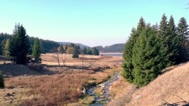 Flaje Vattenreservoaren Tjeckien Drone View — Stockvideo