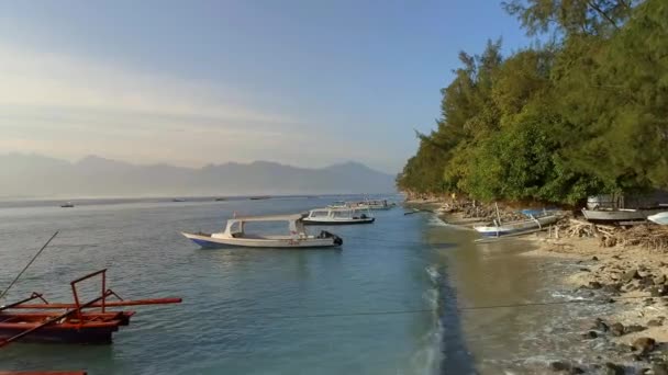 Praia Pitoresca Com Barcos Pesca Turismo Atracados Costa — Vídeo de Stock