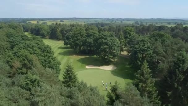 Golfistas Verde Campo Golf Vista Aérea — Vídeo de stock