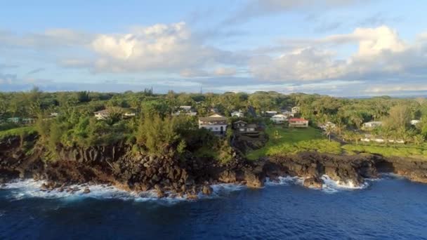 Pahoas Kustlinje Hawaii Morgonen — Stockvideo