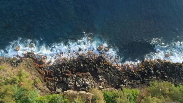 Fåglar Syn Stenig Strand Med Vågor Kraschar Mot Klipporna — Stockvideo