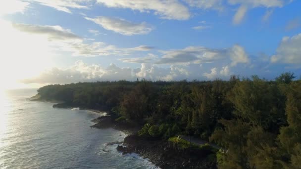 Lever Soleil Sur Une Côte Rocheuse Avec Jungle Hawaïenne — Video