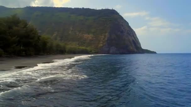 Spiaggia Valle Waipio Alle Hawaii — Video Stock