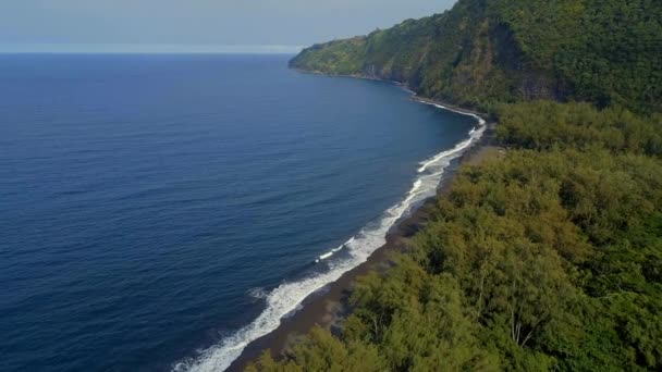 Widok Lotu Ptaka Dolinę Waipio Hawajach — Wideo stockowe