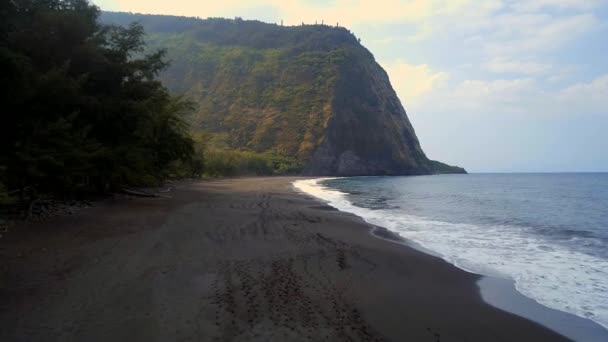 Praia Vazia Isolada Havaí — Vídeo de Stock