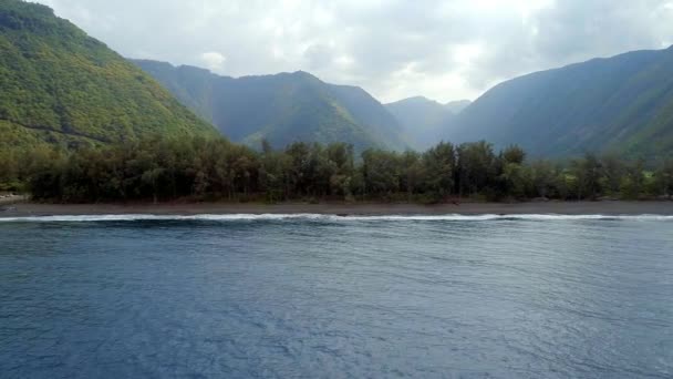 Vista Aérea Del Valle Del Waipio Hawái — Vídeos de Stock