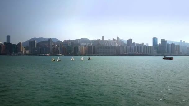 Victoria Körfezi Hong Kong Yelkenli Yarışı — Stok video