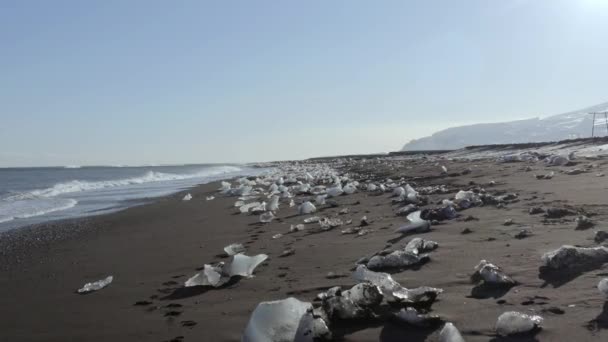 Diamond Beach Lagunie Lodowcowej Islandii Czarna Piaszczysta Plaża Rozproszonym Lodem — Wideo stockowe