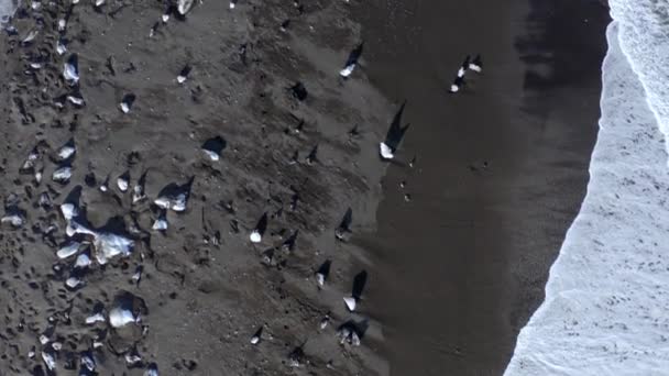 Diamond Beach Vid Glacier Lagoon Island Svart Sandstrand Med Spridda — Stockvideo