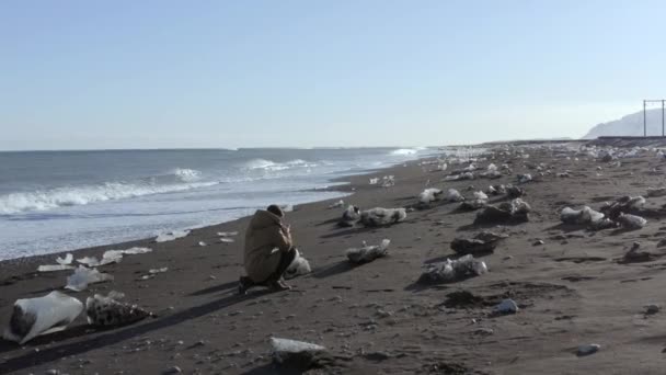 冰岛冰川泻湖的钻石海滩摄影师 一个黑色沙滩 — 图库视频影像