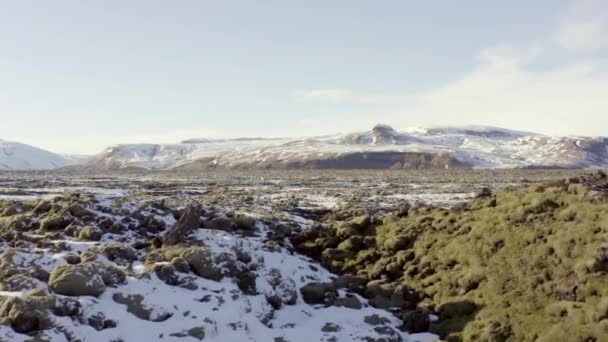 Mossy Lava Πεδία Της Ισλανδίας Στο Winter Flyover — Αρχείο Βίντεο