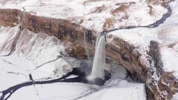 Seljalandsfoss Waterval Een Natuurlijke Bezienswaardigheid Ijsland Vanuit Lucht — Stockvideo