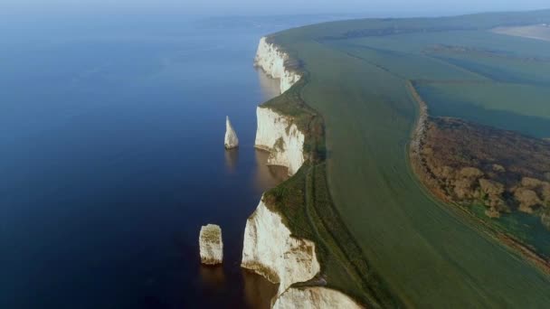 Old Harry Rocks Natural Coastal Feature England Air — стоковое видео