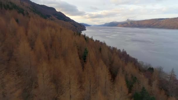 Uitzicht Vanuit Lucht Loch Ness Omliggende Bossen Schotland — Stockvideo