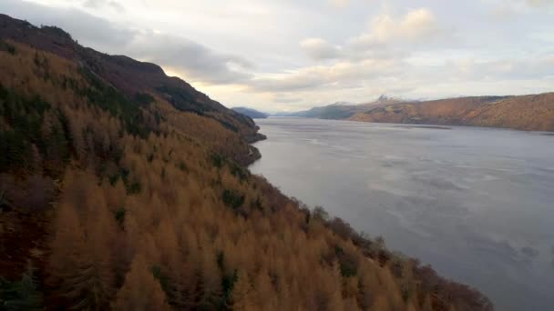 Loch Ness Környező Erdők Légi Kilátása Skóciában — Stock videók