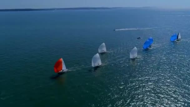 Summer Sailing Regatta Sea Aerial View — Stock Video