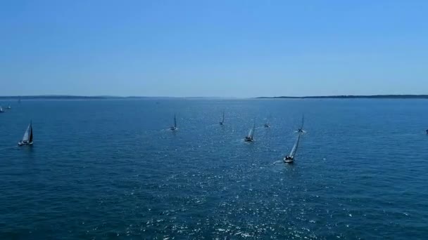 Summer Sailing Regatta Sea Aerial View — Stock video