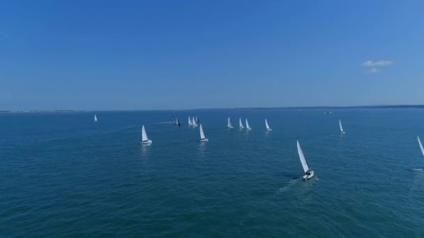 Summer Sailing Regatta Στο Sea Aerial View — Αρχείο Βίντεο