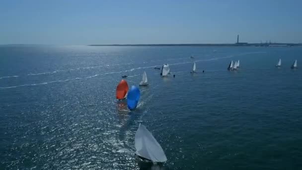 Iates Uma Corrida Vela — Vídeo de Stock