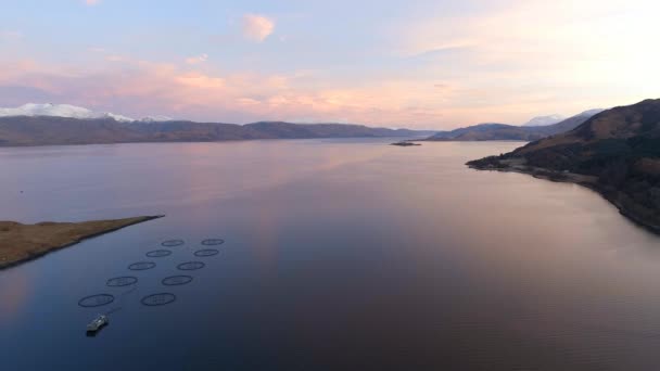 Soluppgång Utsikt Över Liten Vattenbrukslaxfarm Loch Skottland — Stockvideo