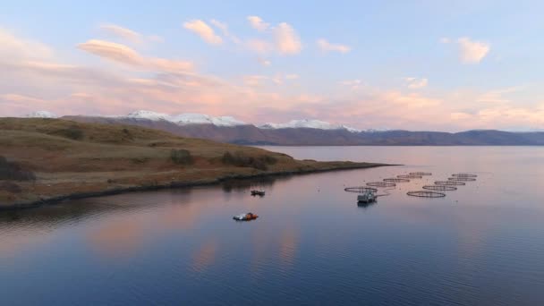 Vista Nascer Sol Uma Pequena Pesca Aquícola Lago Escócia — Vídeo de Stock