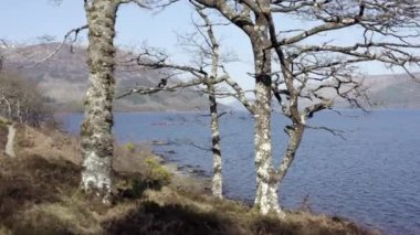 Ormanlar ve Dağlarla çevrili bir göldeki kanocular