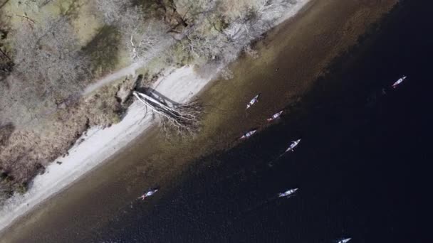 Bird Eye View Canoeists Lake — стоковое видео