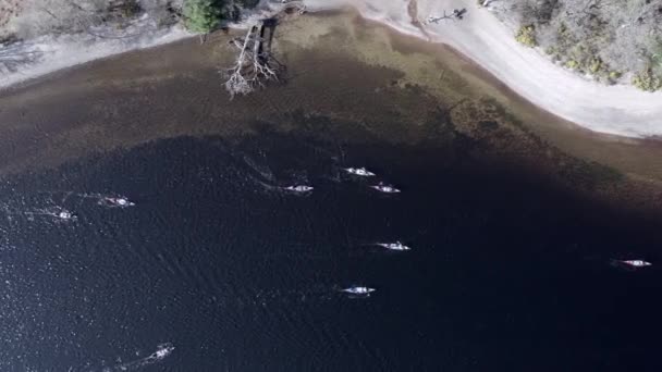Bird Eye View Canoeists Lake — стоковое видео