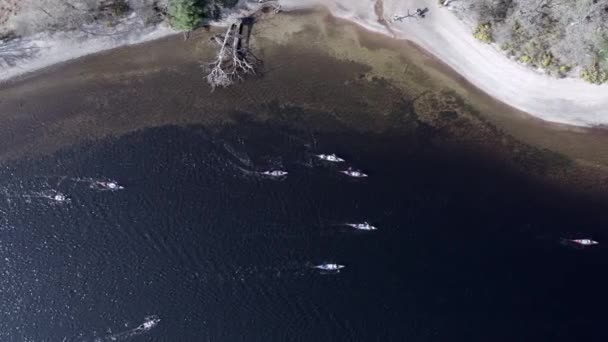 Vista Olho Pássaro Canoístas Lago — Vídeo de Stock