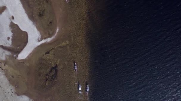 Bird Eye View Canoeists Lake — Stock Video