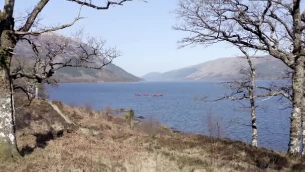 Canoistas Lago Rodeado Bosques Montañas — Vídeo de stock