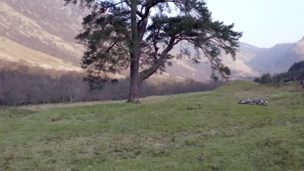 Vistas Típicas Del Paisaje Las Tierras Altas Escocesas Con Montañas — Vídeos de Stock