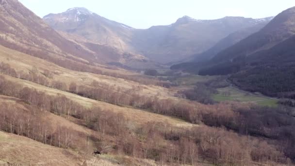 Типичные Ландшафтные Пейзажи Шотландии Горами Реками Лесами — стоковое видео
