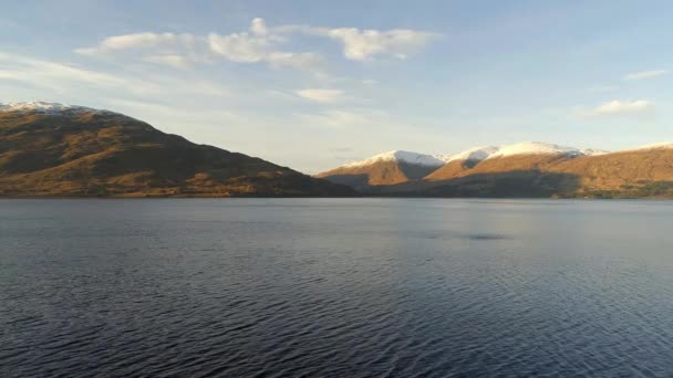 Loch Escocés Árboles Invierno — Vídeo de stock