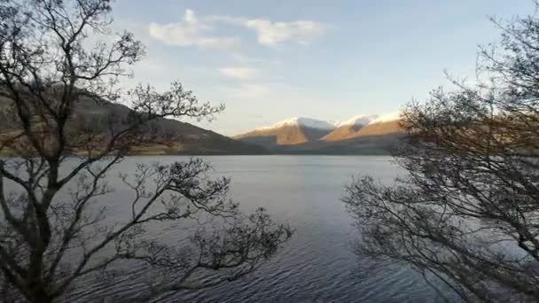 Scottish Loch Trees Winter — Stock video