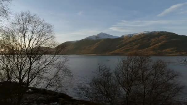 Bäume Rande Eines Schottischen Lochs — Stockvideo