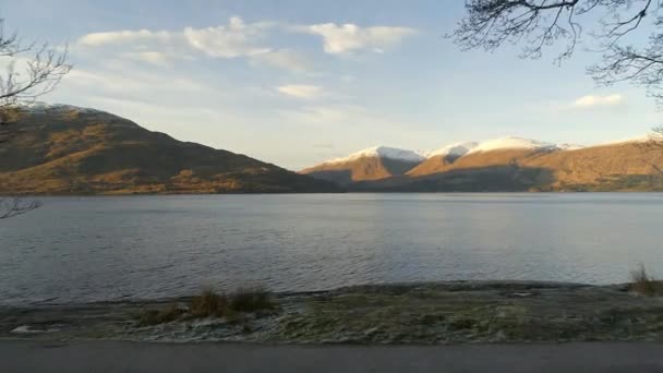 Caminho Árvores Rodeando Lago Escocês — Vídeo de Stock