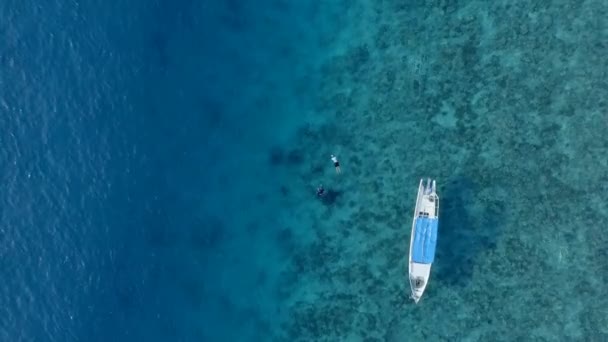 Dwie Osoby Nurkowanie Jasnych Wodach Koralowcami — Wideo stockowe