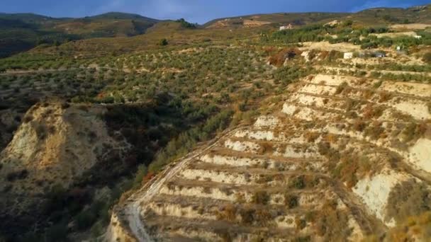 Survoler les fermes oléicoles en Espagne au coucher du soleil 