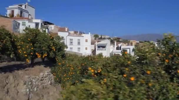 Naranjos Junto Casas Típicas Españolas — Vídeo de stock