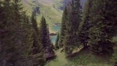 Lac Lioson İsviçre 'de Güzel Gözlerden uzak Dağ Gölü