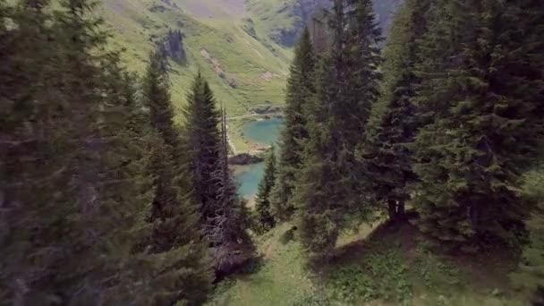 Lac Lioson Μια Όμορφη Απομονωμένη Mountain Lake Στην Ελβετία — Αρχείο Βίντεο