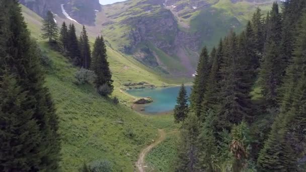 Lac Lioson Beautiful Secluded Mountain Lake Switzerland — Stock Video