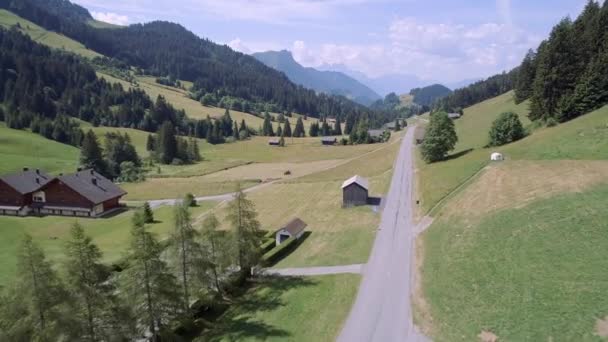Vista Aérea Valle Suiza Con Chalets Paisaje Montañoso — Vídeo de stock