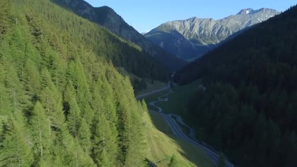 Hegyi Hágó Borított Fenyőfák Nyár Folyamán — Stock videók