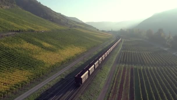 Pociąg Towarowy Podróżujący Przez Okolicę — Wideo stockowe