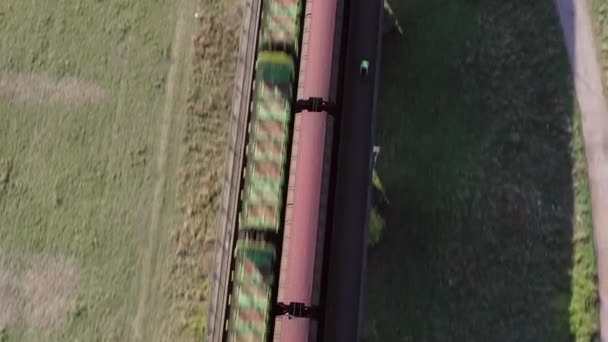 Trenes Mercancías Cruzando Puente Alta Velocidad — Vídeo de stock
