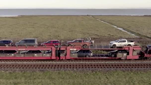 Moto Trem Ferroviário Transportando Veículos Passageiros Uma Viagem — Vídeo de Stock